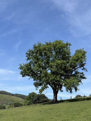 Peak District Hiking Stunning Routes