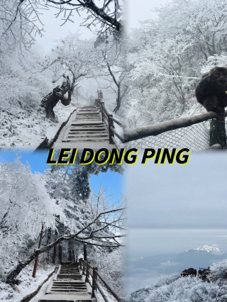 Beat the crowds at Mount Emei after New Year's Day! Enjoy exclusive snowy scenery
