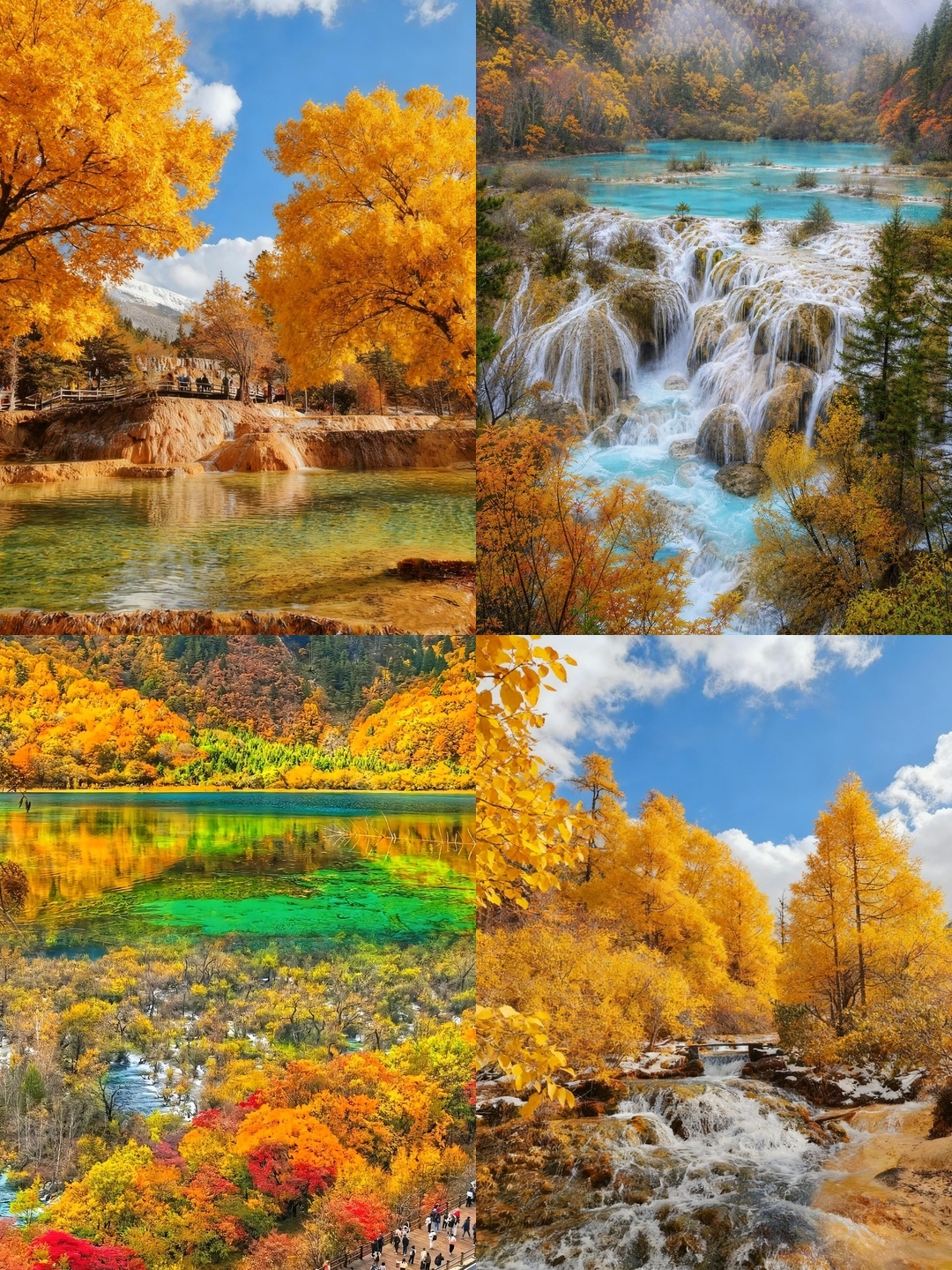 Autumn waits for no one! Visit these 4 places before the colors fade