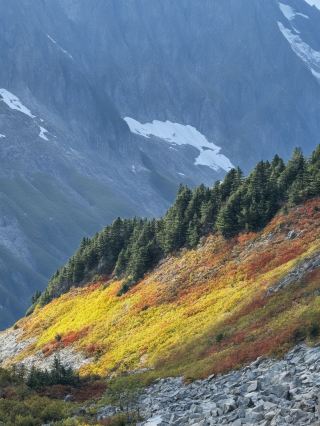 中秋にアメリカへ行く5日間の旅の攻略法