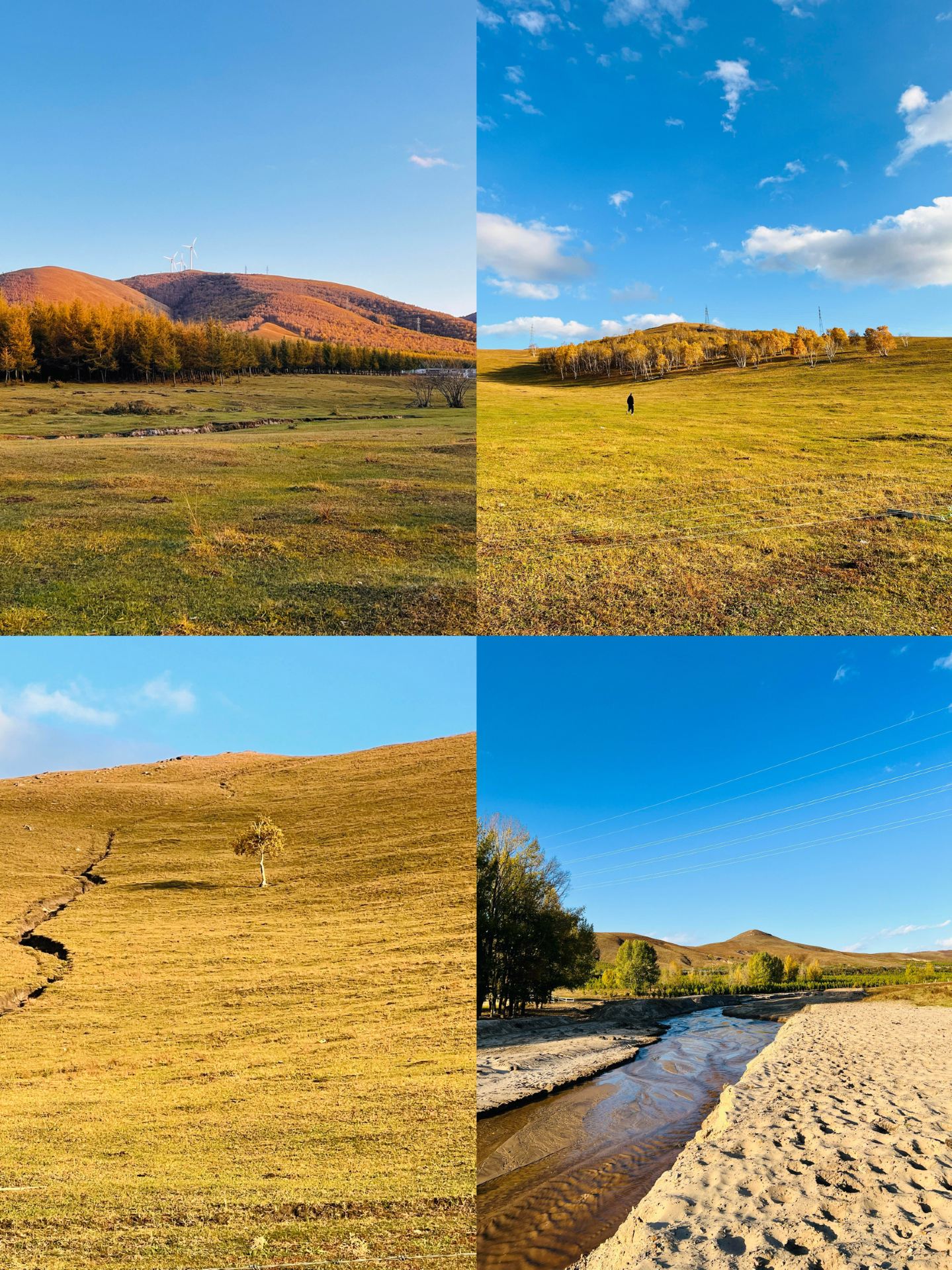 Beijing getaway with kids | 3 days, 2 nights in Fengning Bashang for autumn foliage + China Horse Town