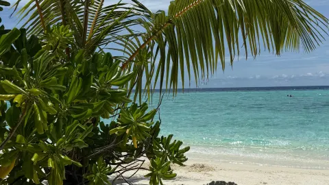 Wonderful Resort with Exceptional Service and Unforgettable Touches — traveler post in Thinadhoo