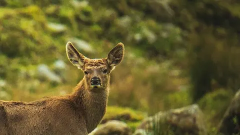청두 근교 아이들을 위한 숨겨진 여름 휴가지 — traveler post in 야안