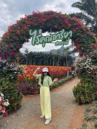 สวนดอกไม้เปิดใหม่ @ไร่คุณอารียา กระบี่