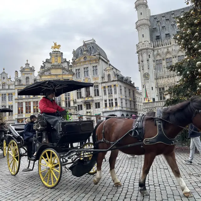 比利時布魯塞爾🇧🇪休閒特別的城市