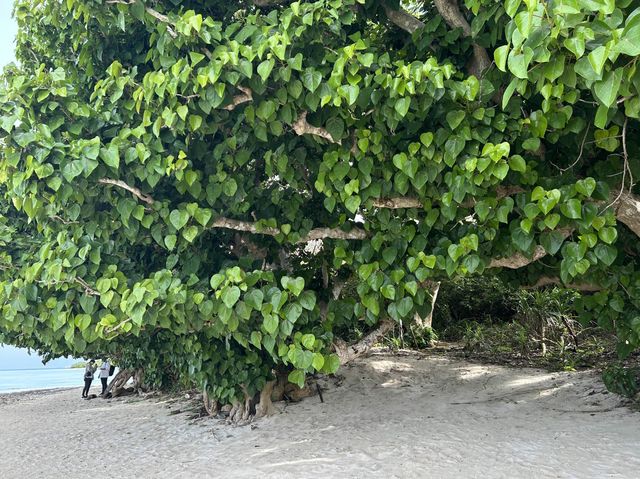 【竹富島】竹富島をサイクリング