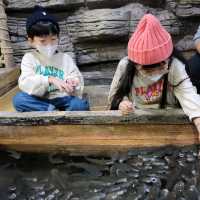 제주의 바다의 아름다움을 재현한 아쿠아플라넷 제주🐬
