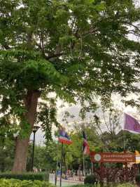 สวนวชิรเบญทัศ 🍃🌳☘️🍀🪵