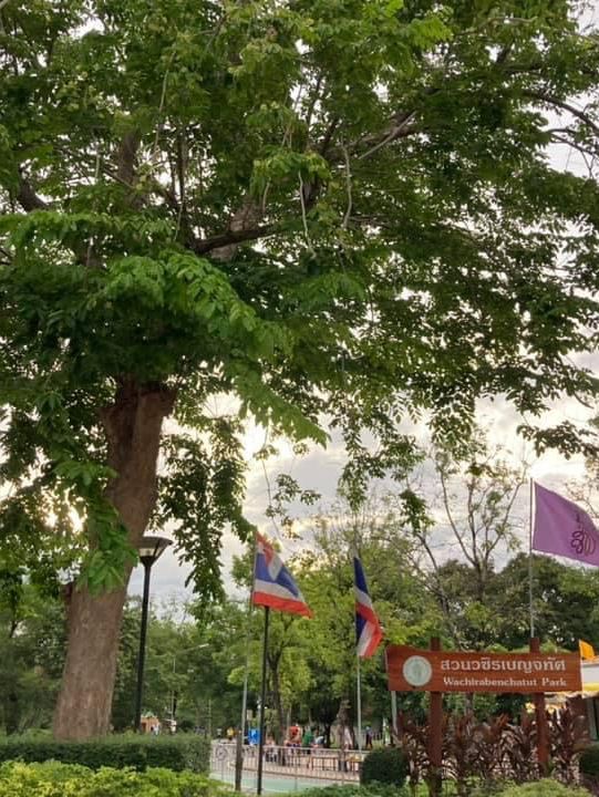 สวนวชิรเบญทัศ 🍃🌳☘️🍀🪵