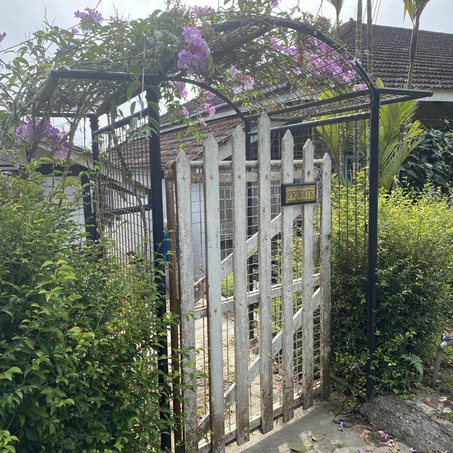 Early Morning Retreat at Penang Hill