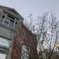 造幣局桜の通り抜け、桜は既に散り始め、有終の美