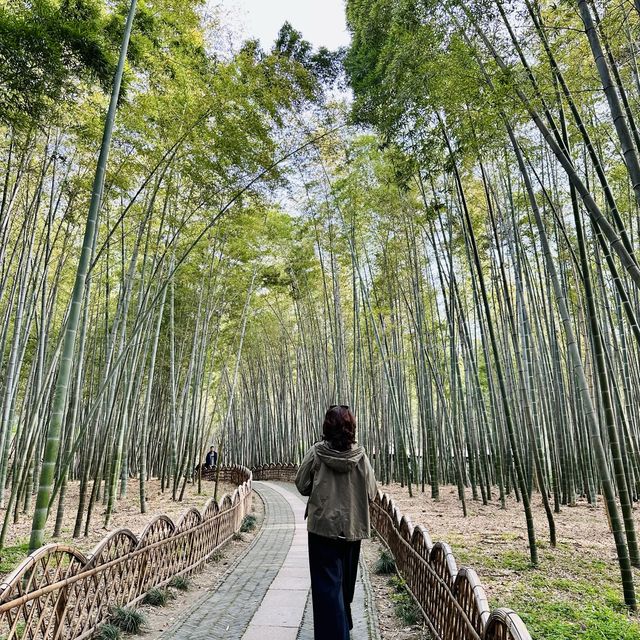 Serene Charm of Tiger Hill in Suzhou, China