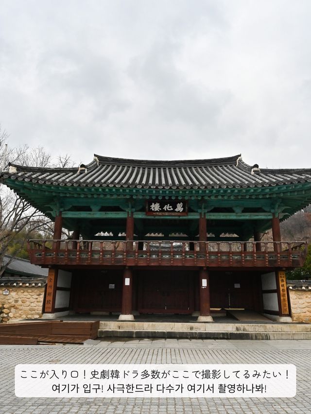 【 韓国 / 全州 】韓ドラのロケ地巡り！二十五、二十一、シュルプ…話題作多数！