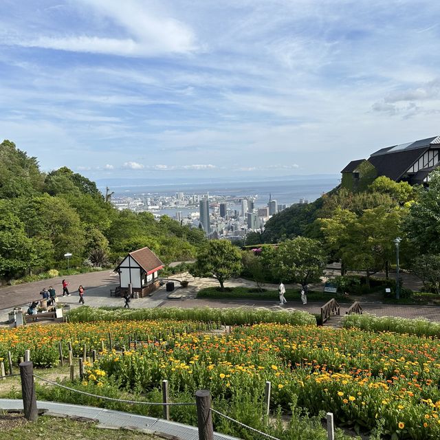 2 Day Trip to Kobe! 