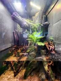 【桃園】X-PARK 水族館：沉浸式體驗海洋世界