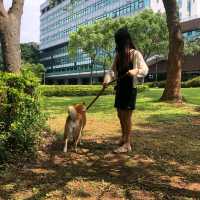 中原大學