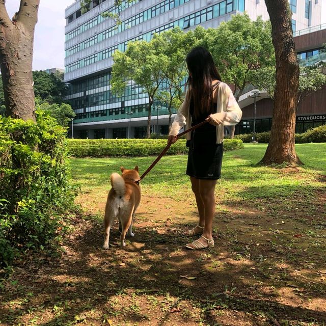 中原大學