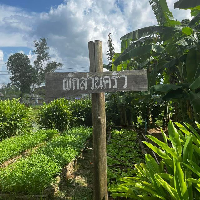 หัวใจสีเขียว💚โคกหนองนาโมเดล📍