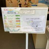 淡路島！ニジゲンノモリ「オラのビックリ！ドッキリ！おもしろホラーハウスだゾ！」