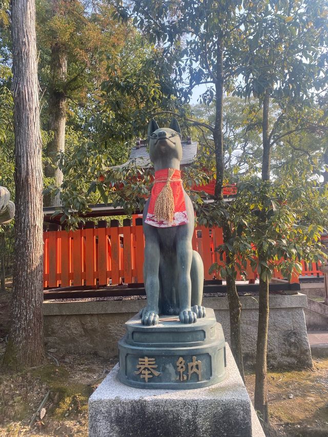 เที่ยวศาลเจ้าฟูชิมิ อินาริ ⛩️Fushimi Inari Taisha