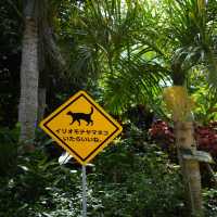 【由布島　動物看板探し】