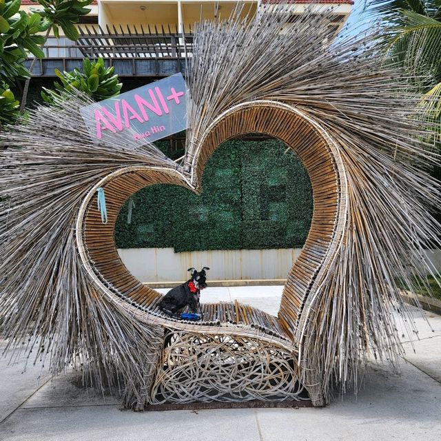 รีวิว Avani+ Hua Hin Resort 
