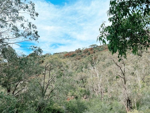 Serpentine Falls! 😎 Keep Running!💕🫣😁