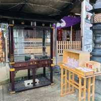 【福岡／西区】福岡の絶景を一望できる神社