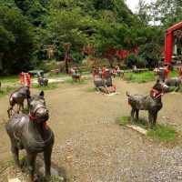 น้ำตกซือเฟิ่น (Shifen Waterfall)