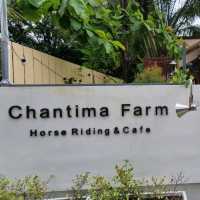 "Chantima Farm"