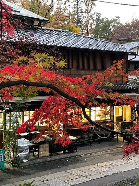【東京都/深大寺】緑豊かな調布にある寺院