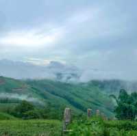 Akha Framville🐑🌳🍃
