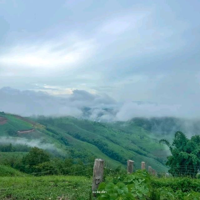 Akha Framville🐑🌳🍃