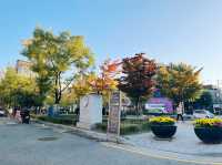 ใบไม้เปลี่ยนสีที่ GYEONGUI LINE FOREST PARK