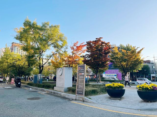 ใบไม้เปลี่ยนสีที่ GYEONGUI LINE FOREST PARK