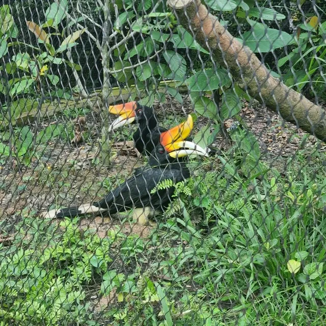 Singapore's Largest Bird Paradise 🦜🐦