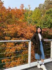 ตอนรับฤดู Autumn ที่ Seoul Forest 🍁🍂