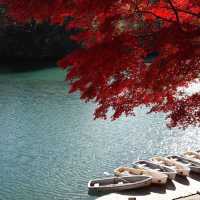 Goshikinuma ponds , autumn vibe 🍁