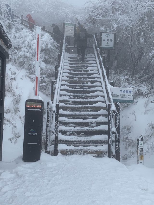 눈꽃을 제대로 보시려면 덕유산 향적봉🤍