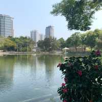 天水圍公園綠化探點