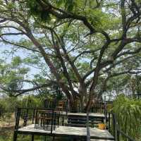 The Three Cafe โพธิ์พระยา
