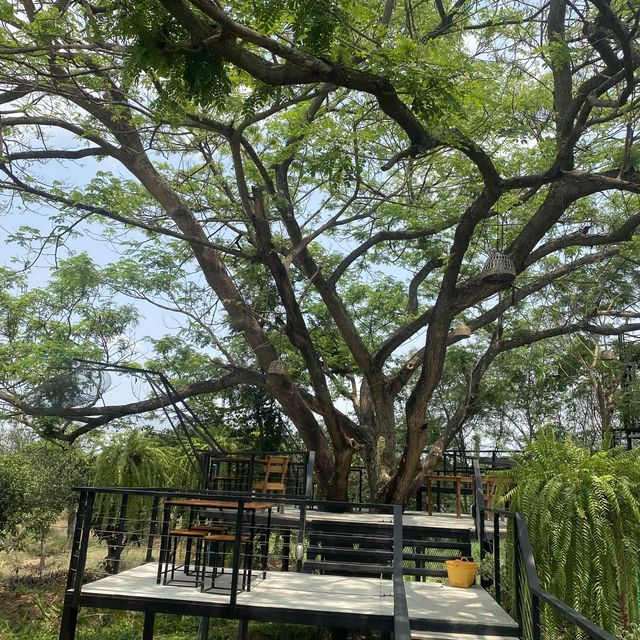 The Three Cafe โพธิ์พระยา