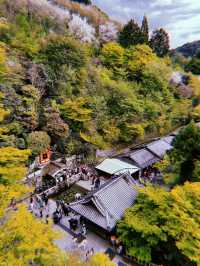 Kiyomizu Temple