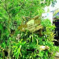 ทานข้าวกลางป่าใหญ่ ที่ร้านอาหารตำนานป่า ระยอง 🏕️