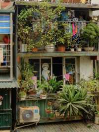 SHOULD YOU VISIT HANOI, VIETNAM?🇻🇳