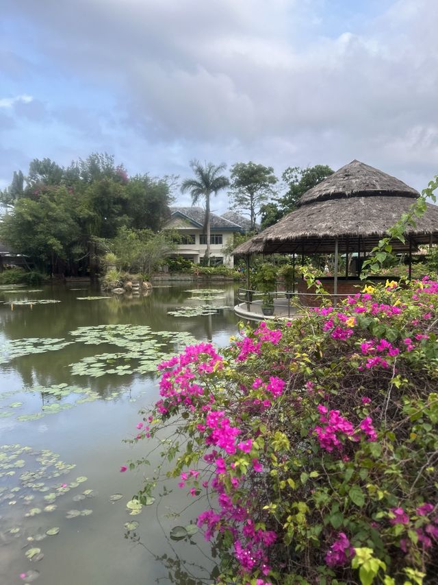 【ベトナム🇻🇳ニャチャン】泥温泉でリフレッシュ✨