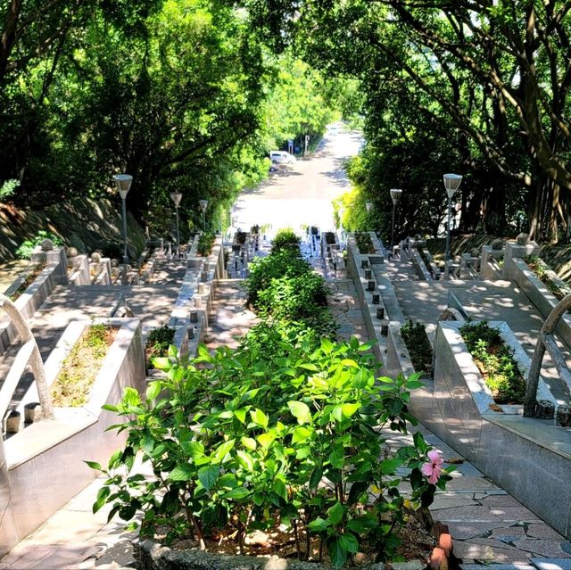 Peak of Tranquility: Bihaiwan Park🌳🌄