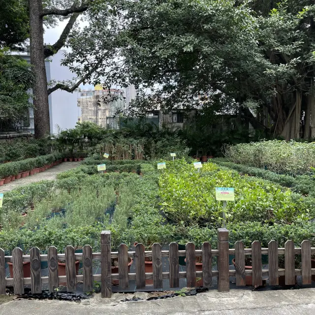 Luís de Camões Plant Nursery