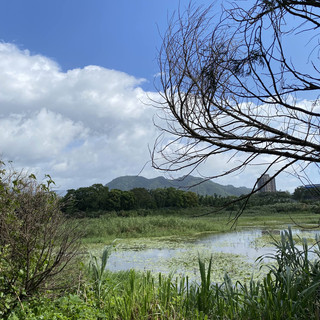 碧湖🍃 龍潭的十一分埤