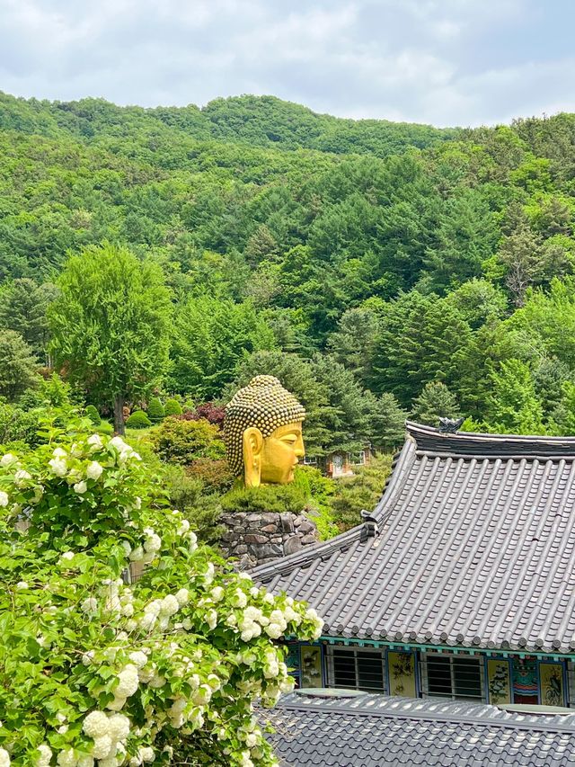 서울에서 약 1시간! 태국여행 가능한곳!